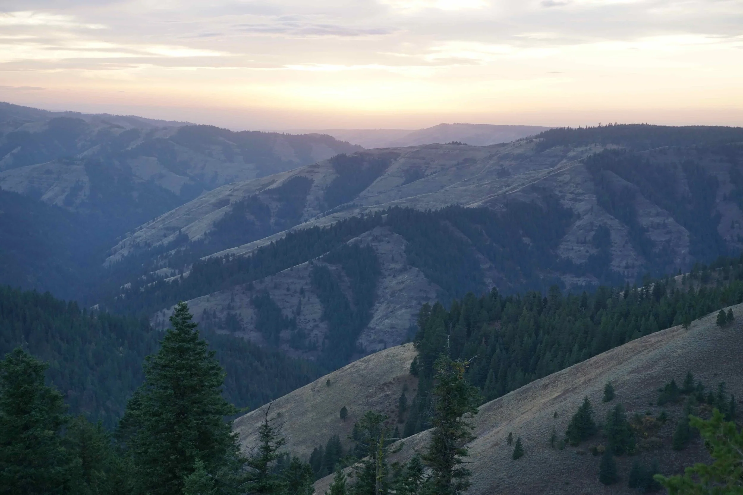 Family Hike - Umatilla Rim - CANCELLED