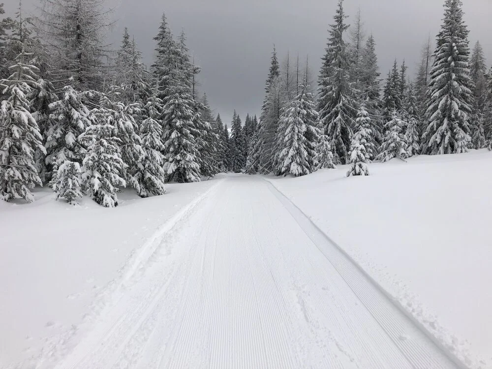 Blues Crew Work Party: Horseshoe Prairie Nordic Ski Area- Sunday