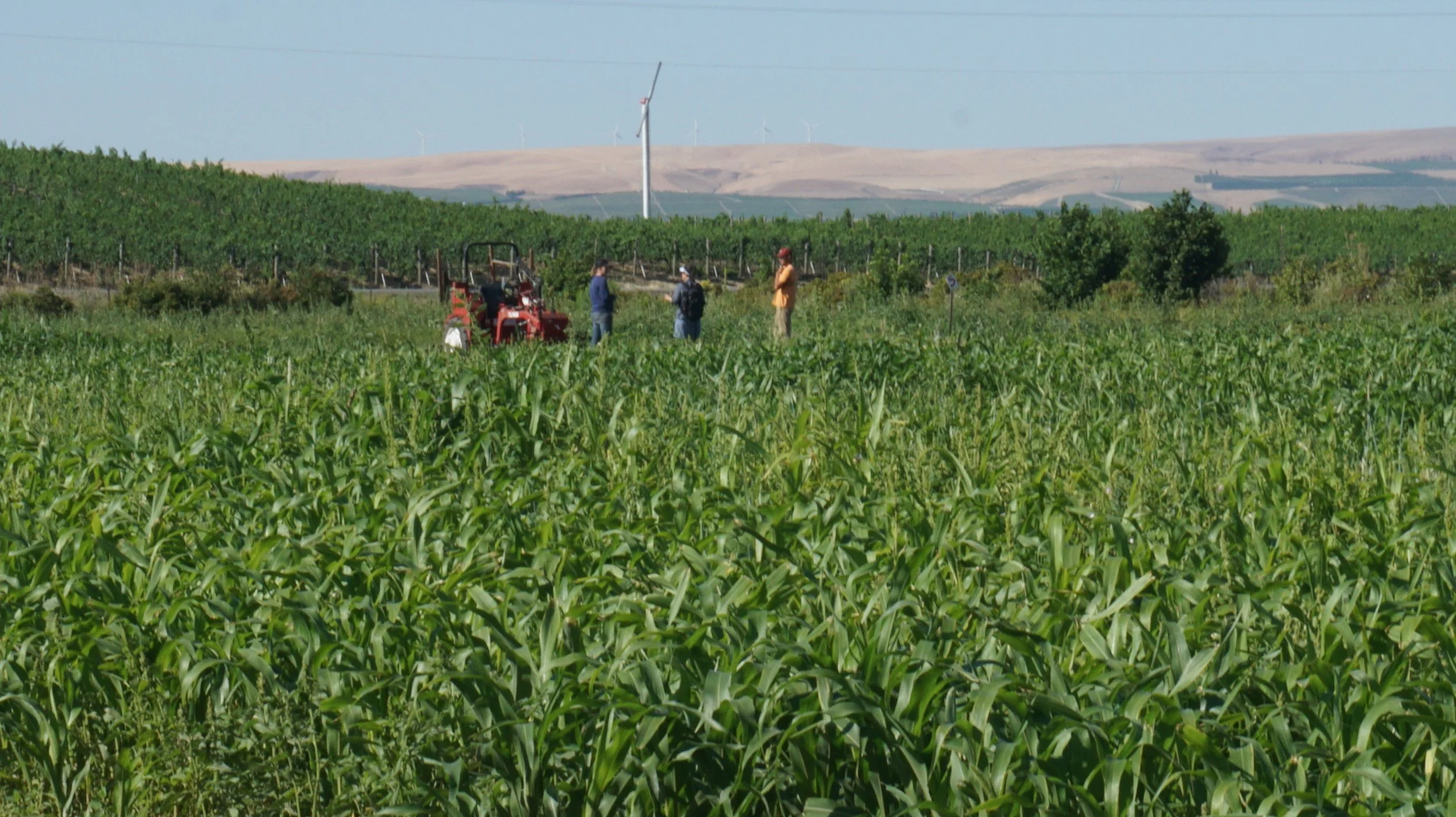 Member Spotlight: Emily Asmus, Welcome Table Farm