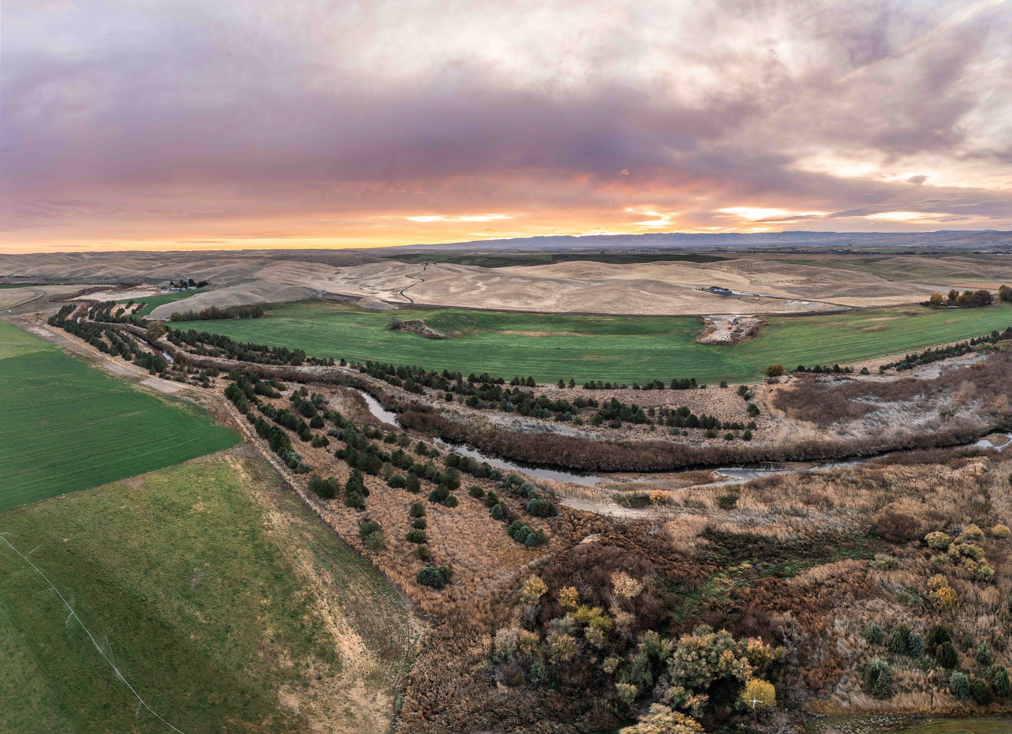 BMLT_FallNews_Seachris_1 copy-2.jpg