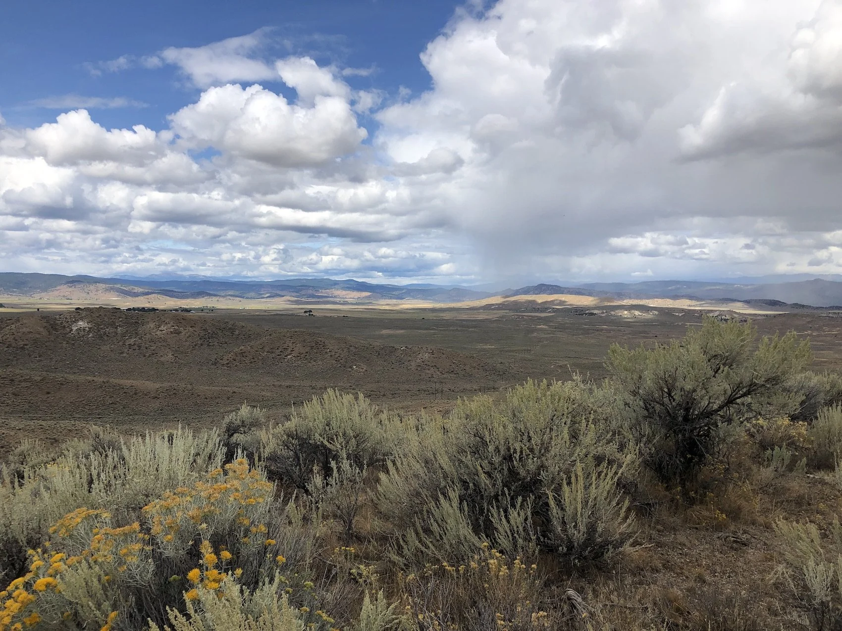 Sustaining the Sagebrush Sea