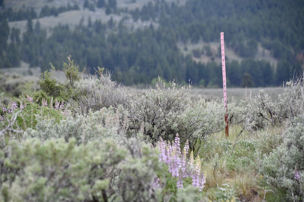 Photograph Courtesy of NRCS Oregon