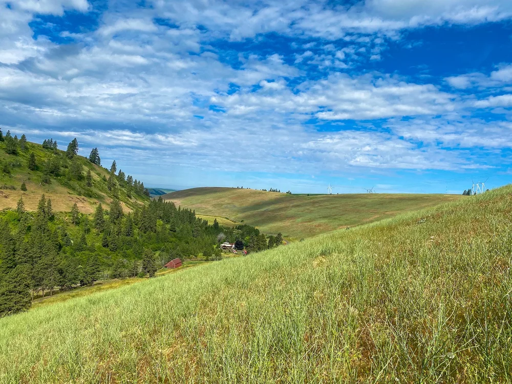 Photographs by Leander Swan