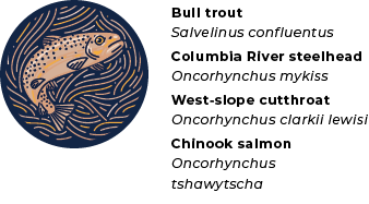 BMLT_ Impact Report_Phipps Species_Fish.png