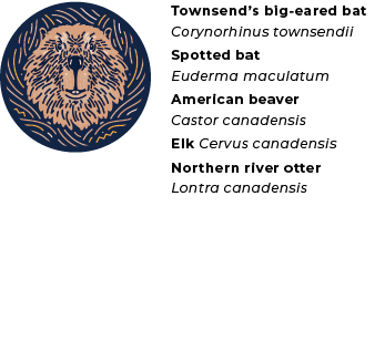 BMLT_ Impact Report_Phipps_Animals.png