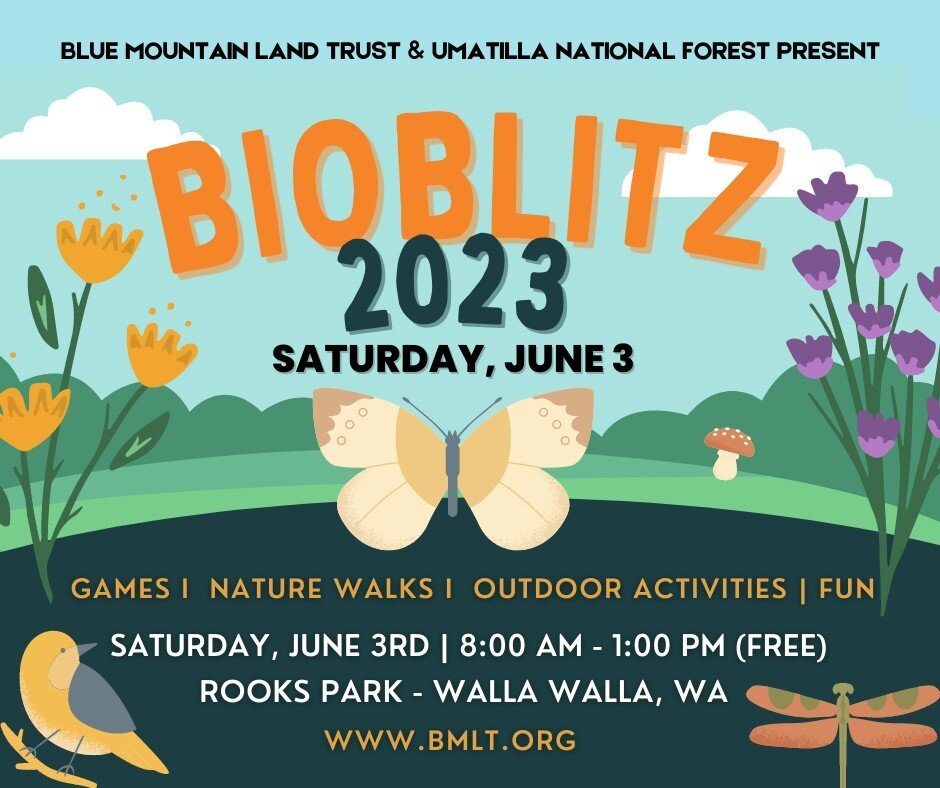 Looking for a fun way to kick off your summer? Join us at BioBlitz 2023 and celebrate the biodiversity of the Walla Walla Valley! ⁠
⁠
Bring your family and friends to Rooks Park on Saturday, June 3rd, between 9:00 am - 1:00 pm for a day filled with s