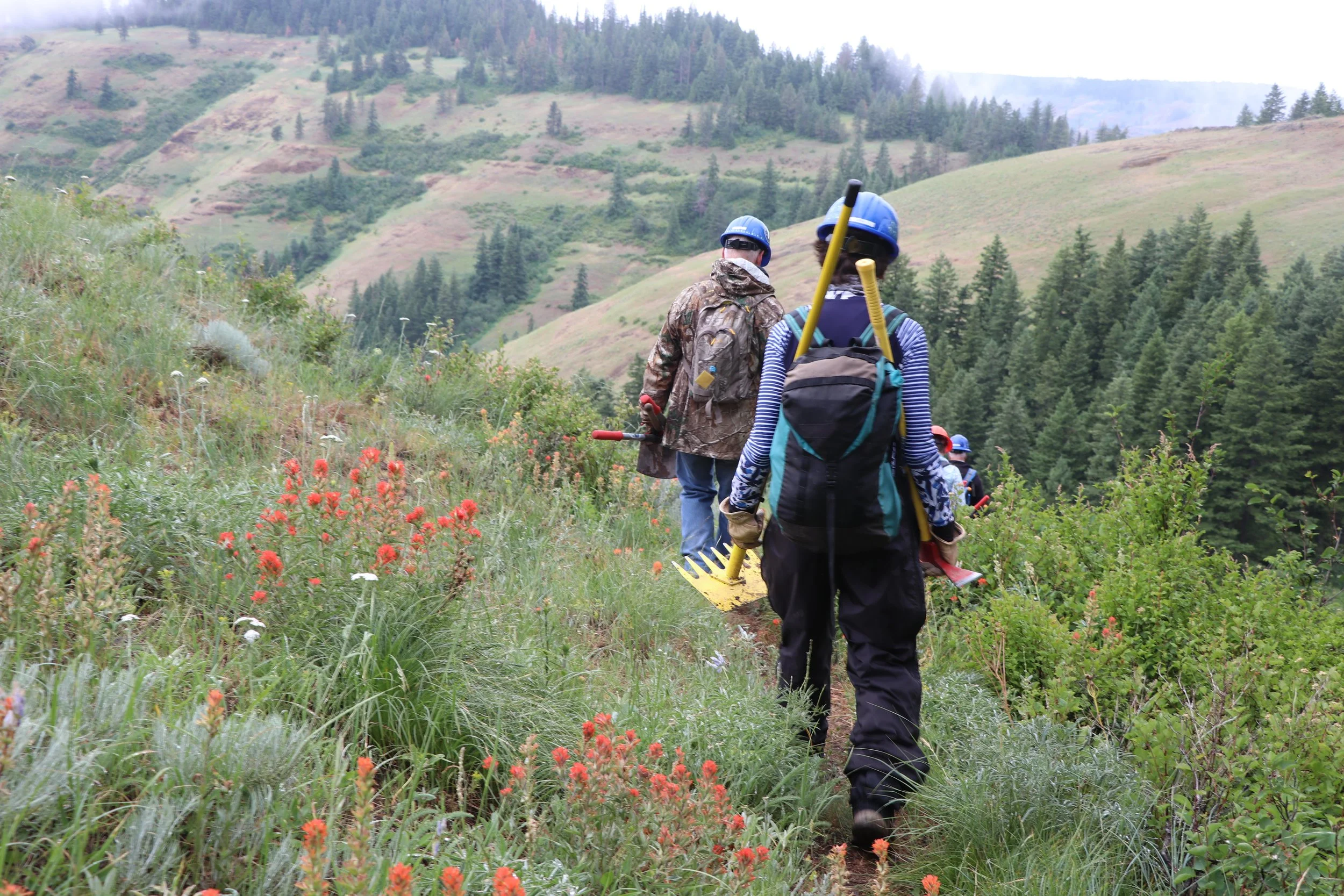 Trail Work Party: Grouse Mountain &amp; Upper Lick Creek Trail - Celebrate National Trails Day!