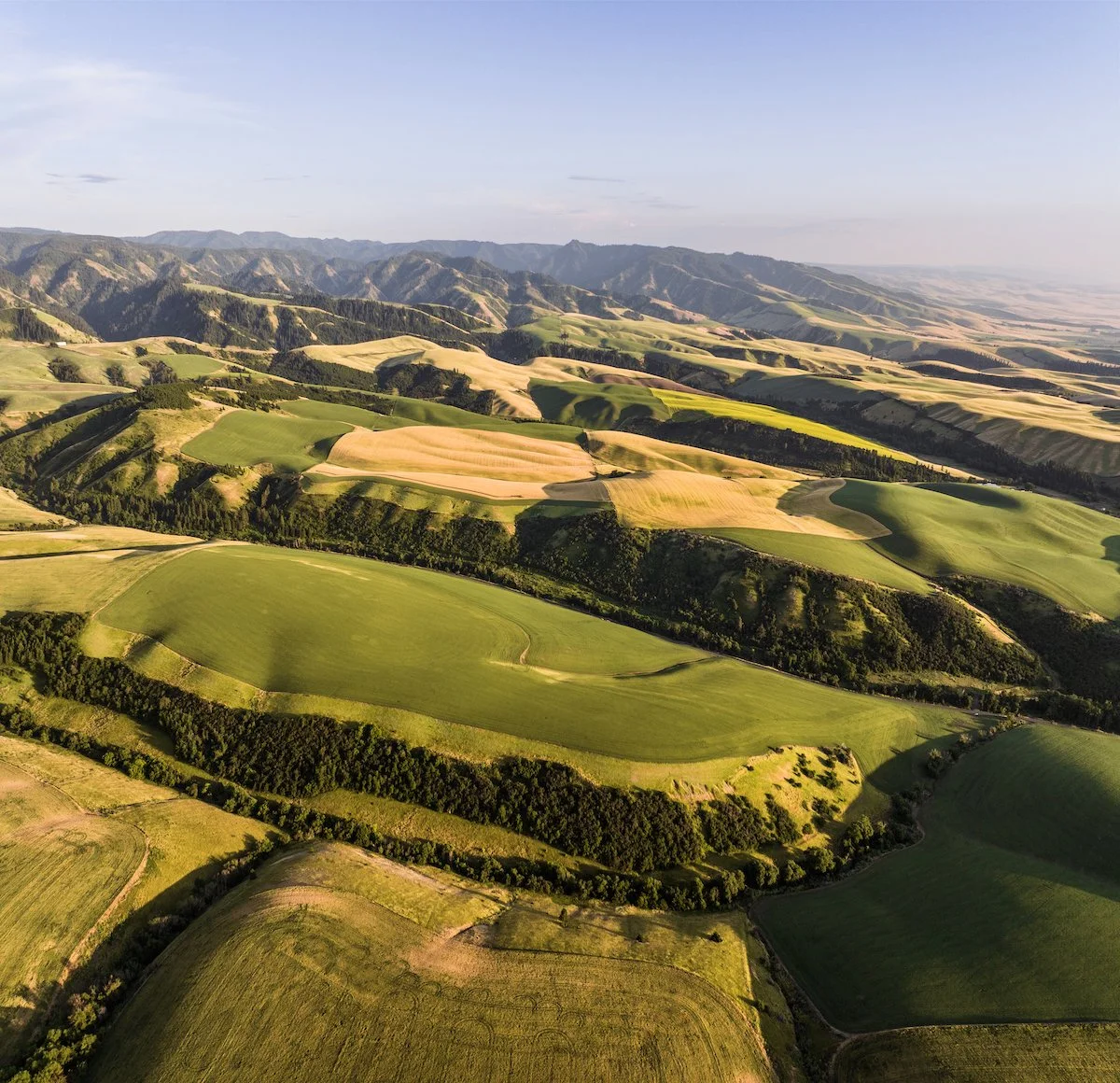 We're in this together: 2023 Impact Report