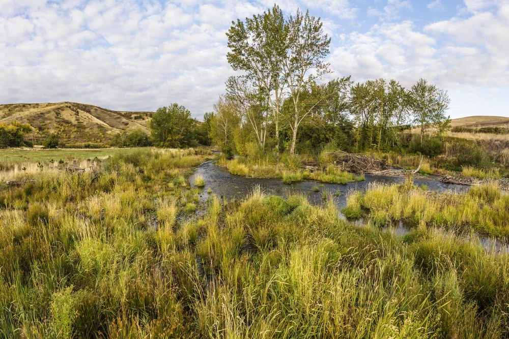 PANO0009-Pano copy.jpeg