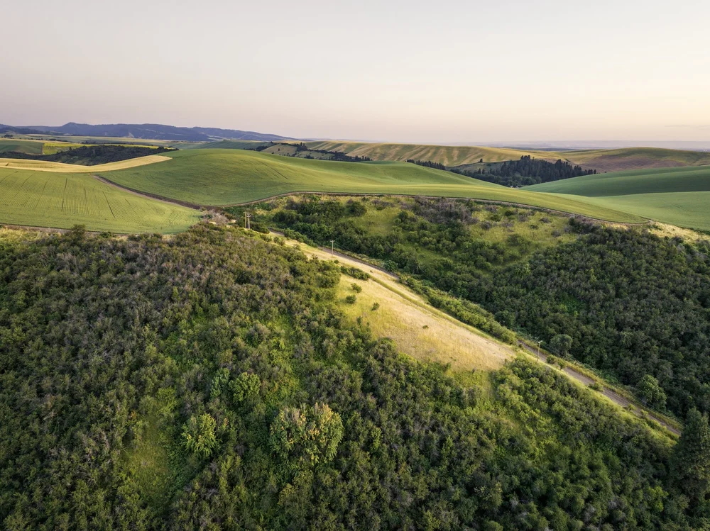 DJI_20230628203819_0301_D copy.jpg