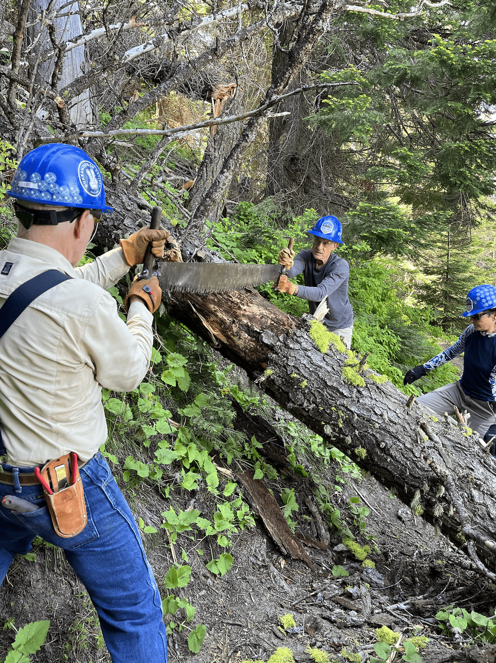 Screenshot 2023-12-01 at 1.43.29 PM.png