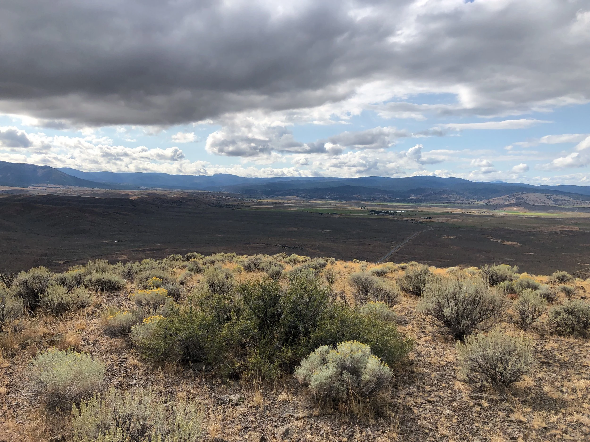 Bennett Family Protects Sage-Grouse Habitat with Agricultural Land Easements