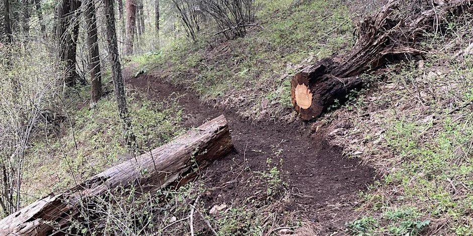 Trail Work Party: Grouse Mountain #3081 & Lick Creek Trails #3070