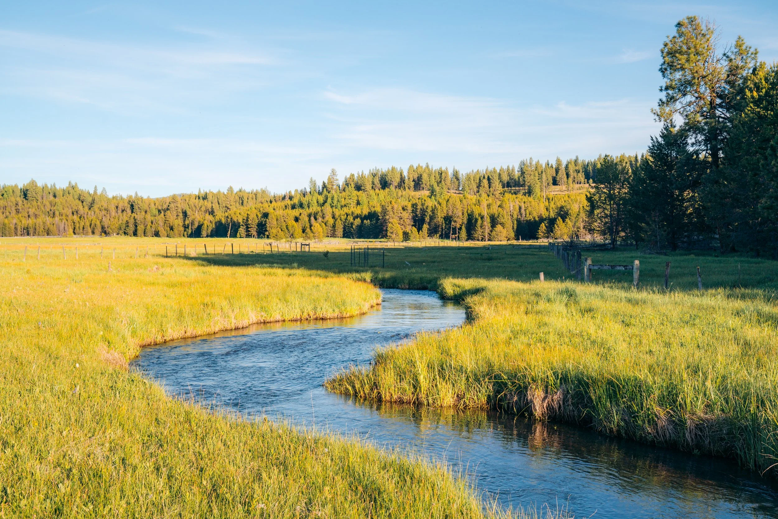 BMLT celebrates 25 years of conservation & community