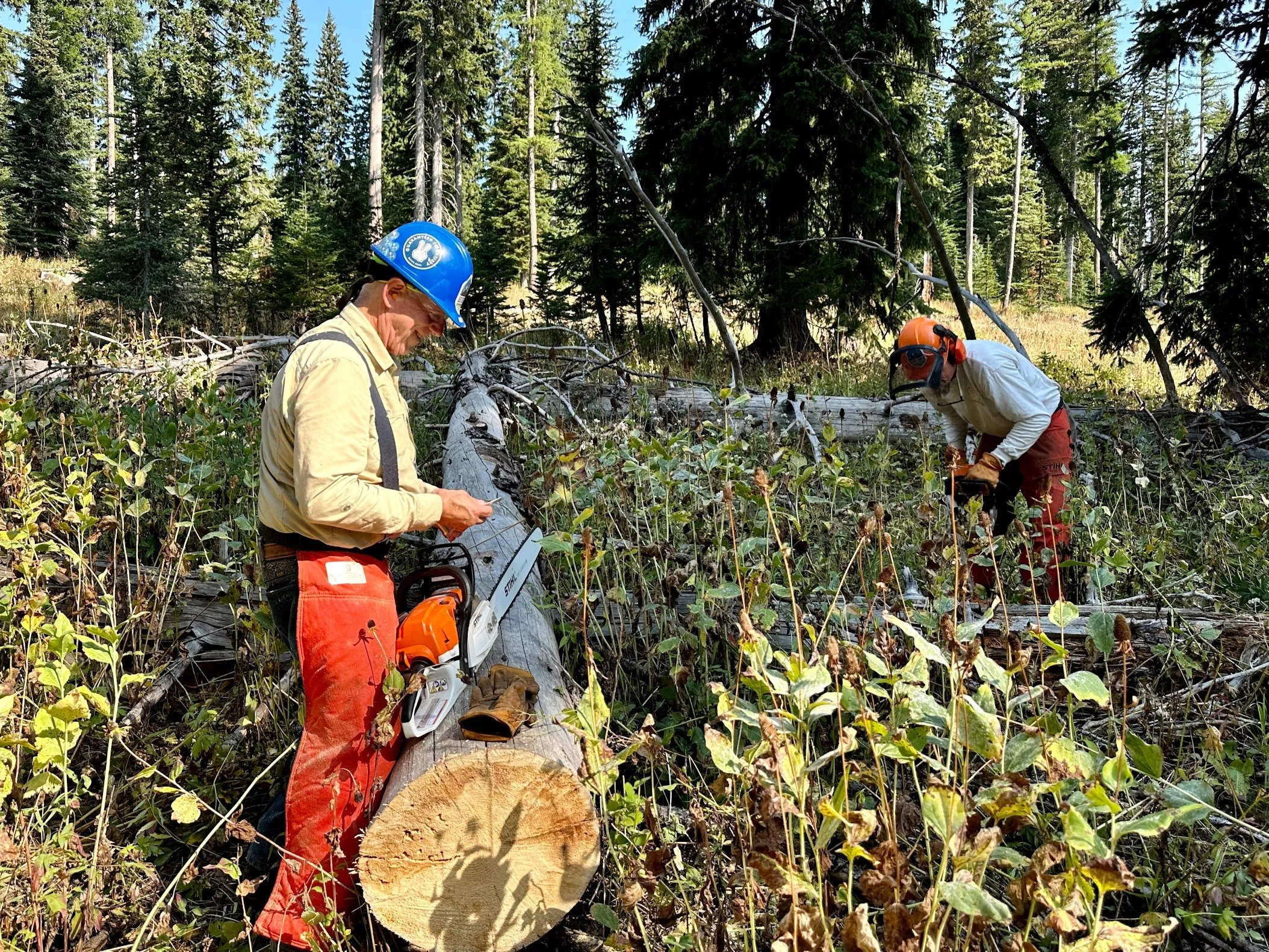 Trail Work Party: Celebrate National Public Lands Day - Red Fox Race Track Loop Clean Up