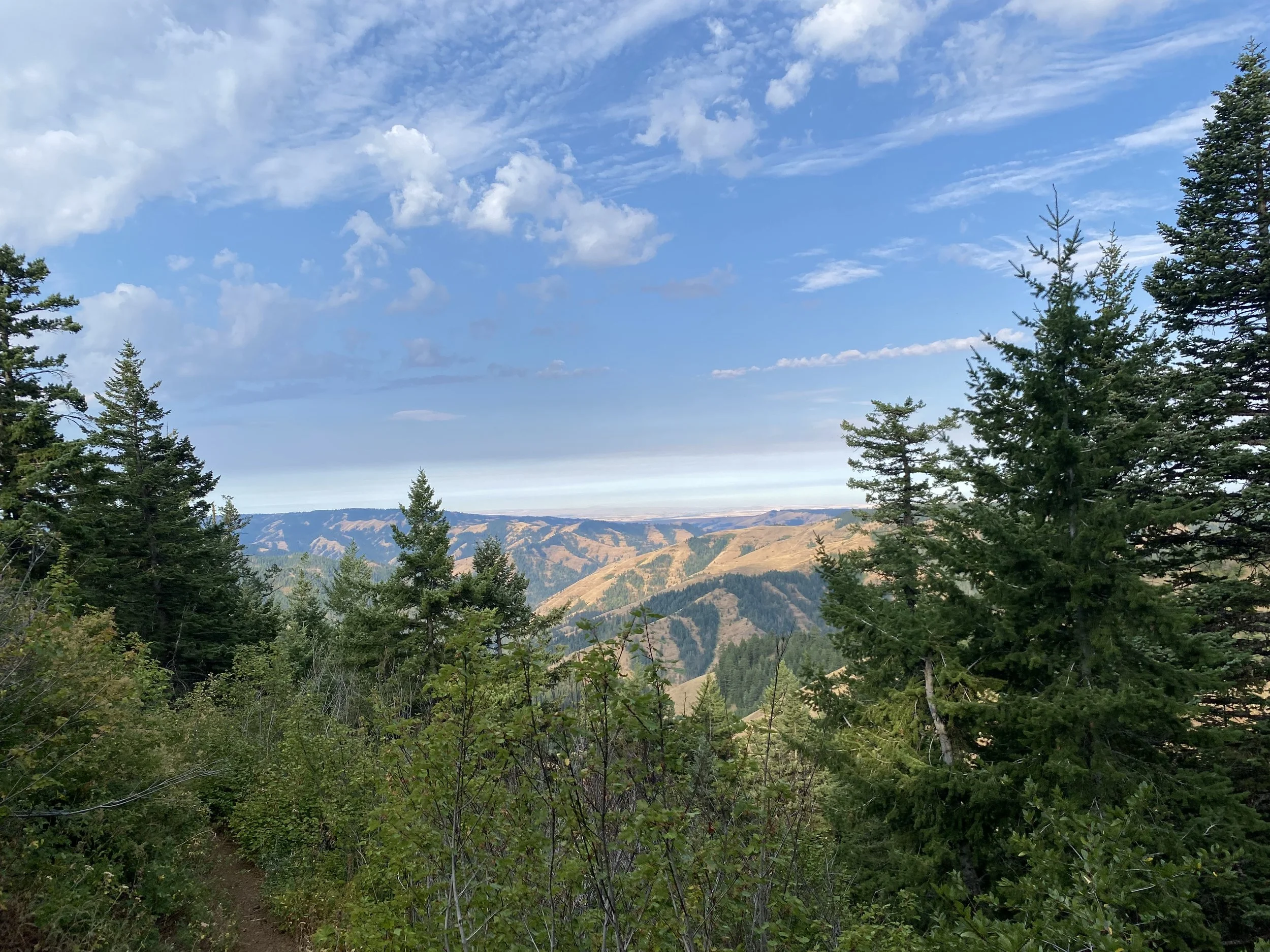 Trail Work Party: Coyote Ridge Trail Work Party