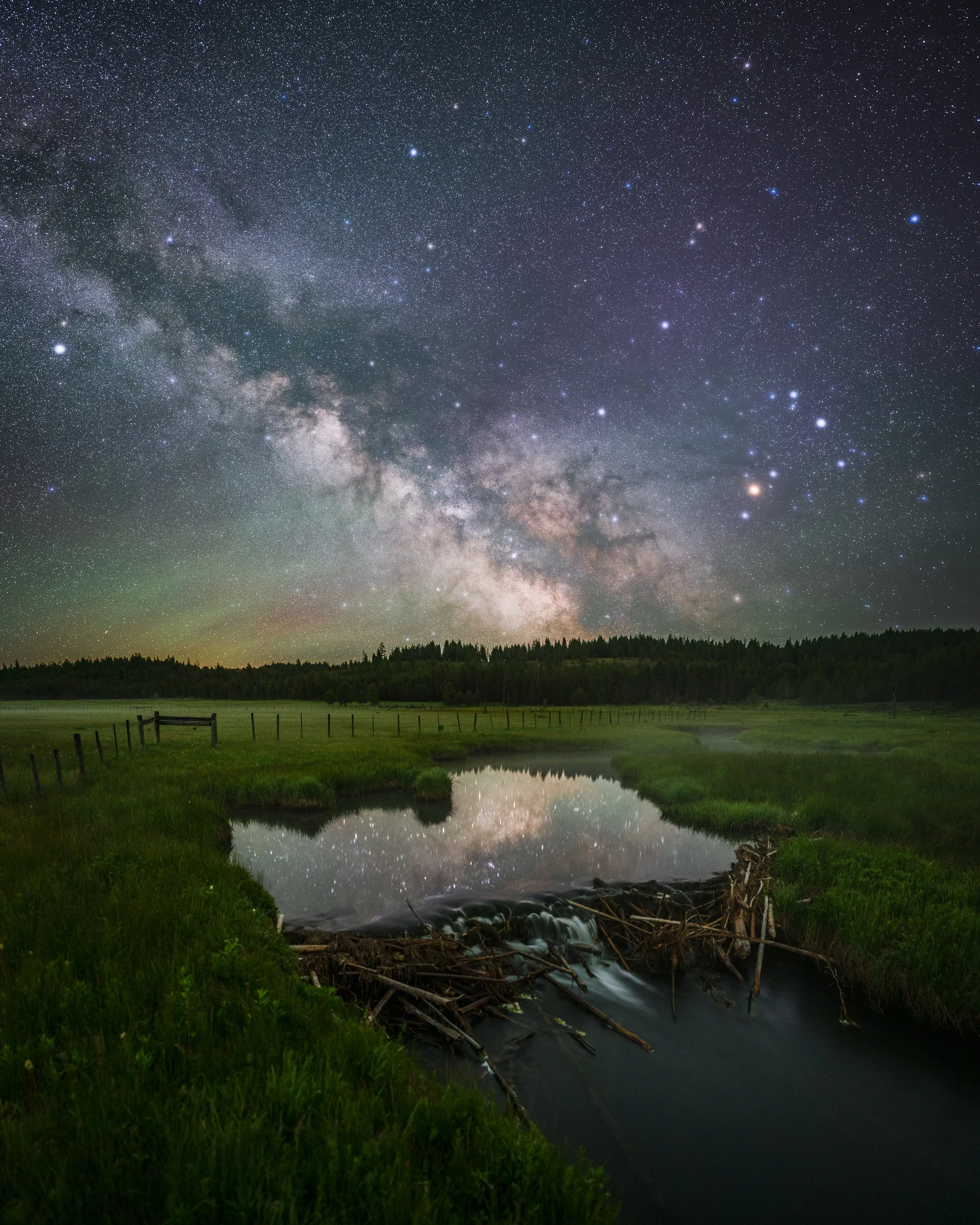 _MSF2216-Edit copy.jpeg