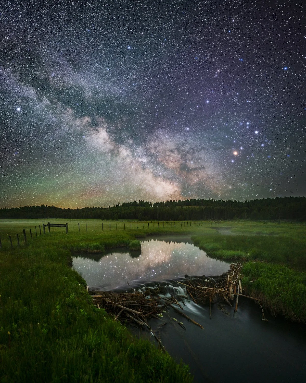 Celebrate the Blues: A benefit dinner for Blue Mountain Land Trust