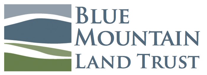 BMLT+Logo+Coloreps.jpeg