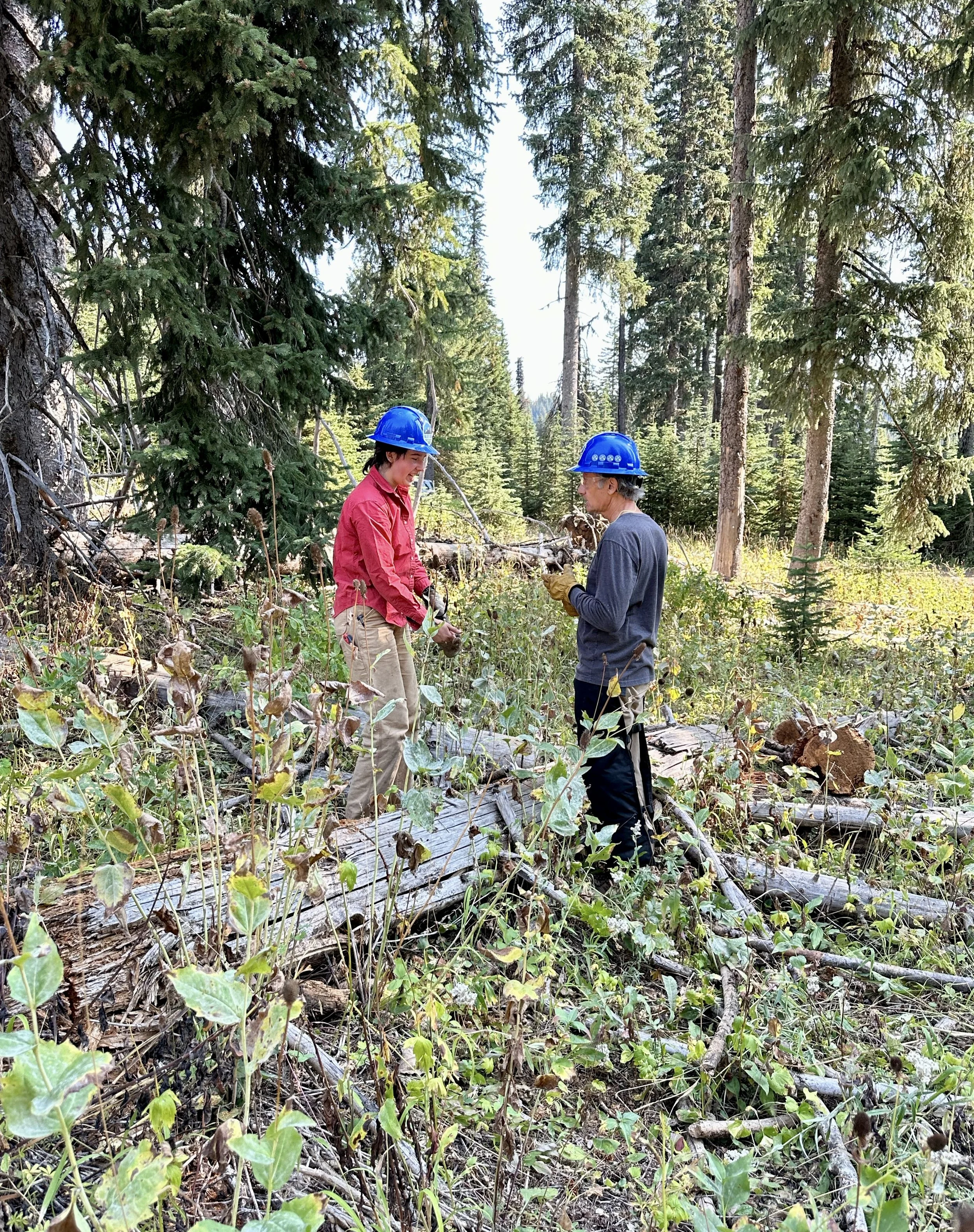 Elk Tracks Trail Clean Up @ Horseshoe Prairie