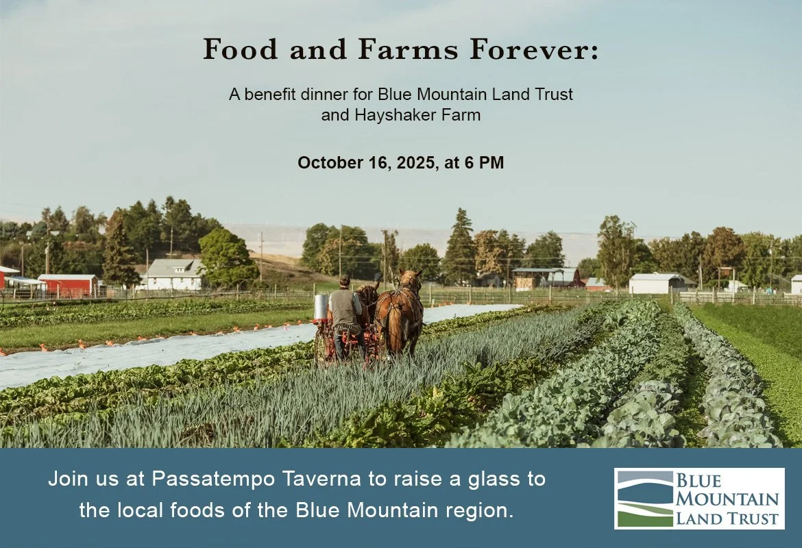 Food and Farms Forever: A benefit dinner for Blue Mountain Land Trust and Hayshaker Farm
