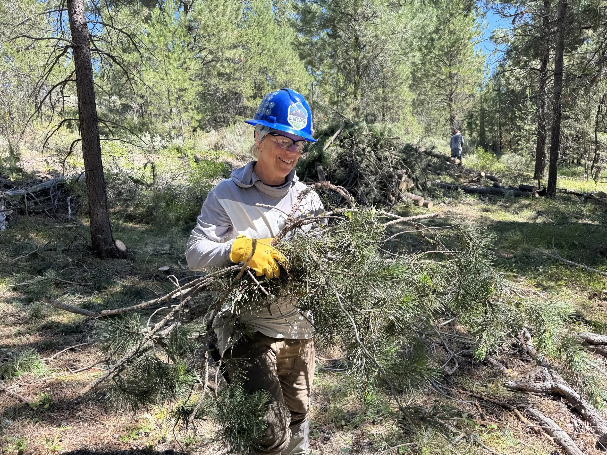 Blues Crew Thinning Work Party Launches Upland Restoration at Phipps Meadow