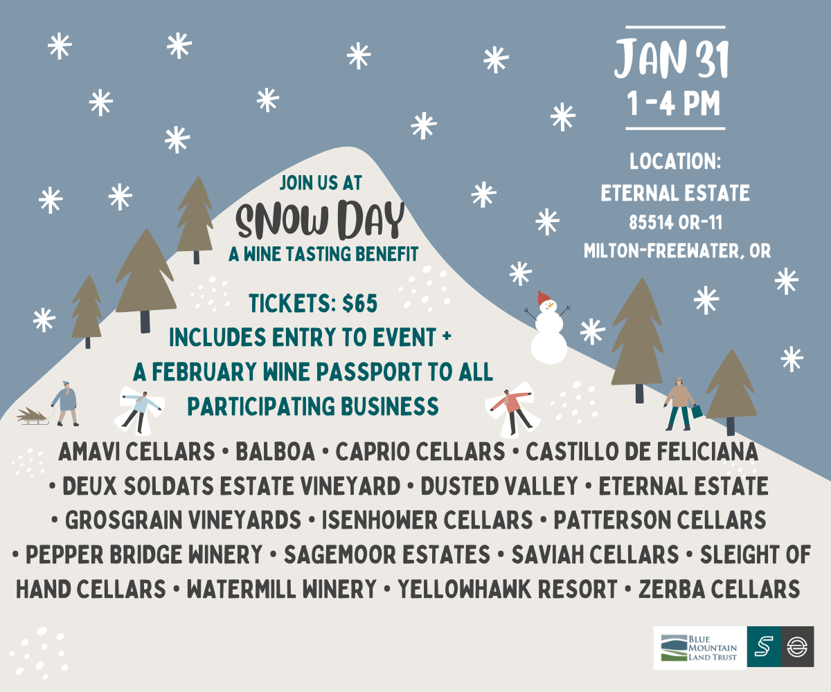 Southside Wineries and Breweries Snow Day: A Wine Tasting Benefit