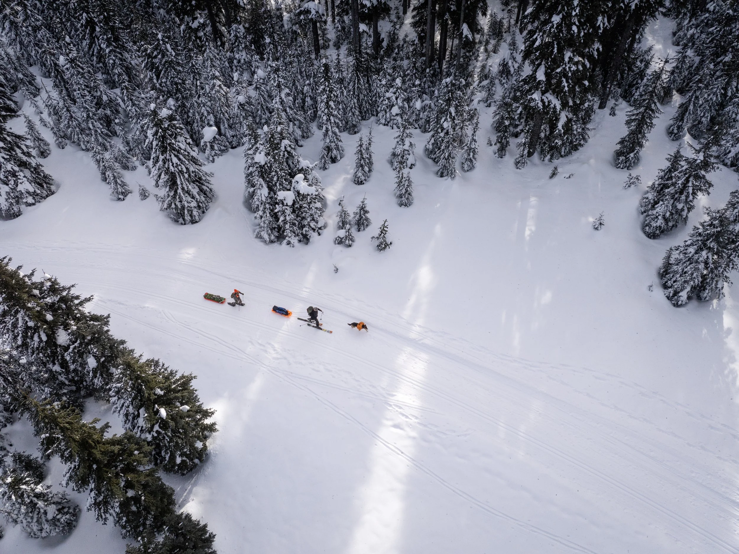 DJI_20250118102100_0640_D copy.jpeg