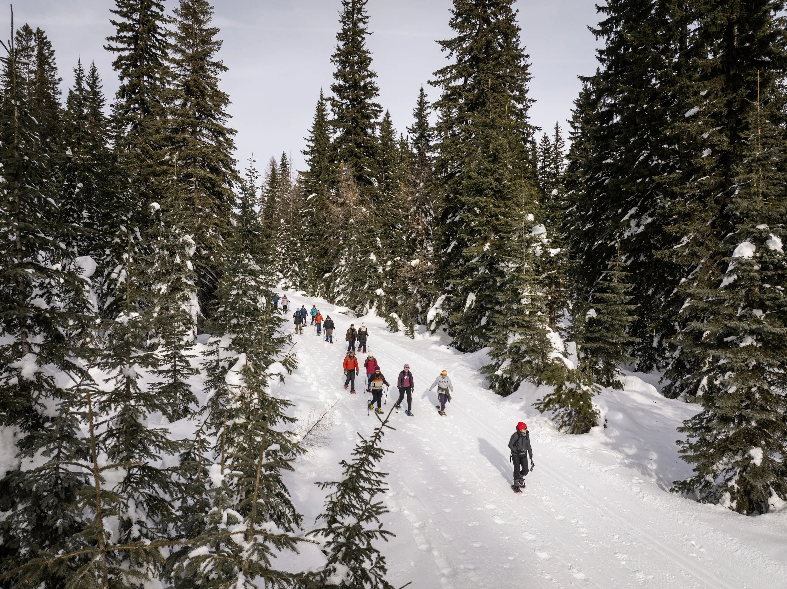 DJI_20250118112809_0661_D copy.jpeg