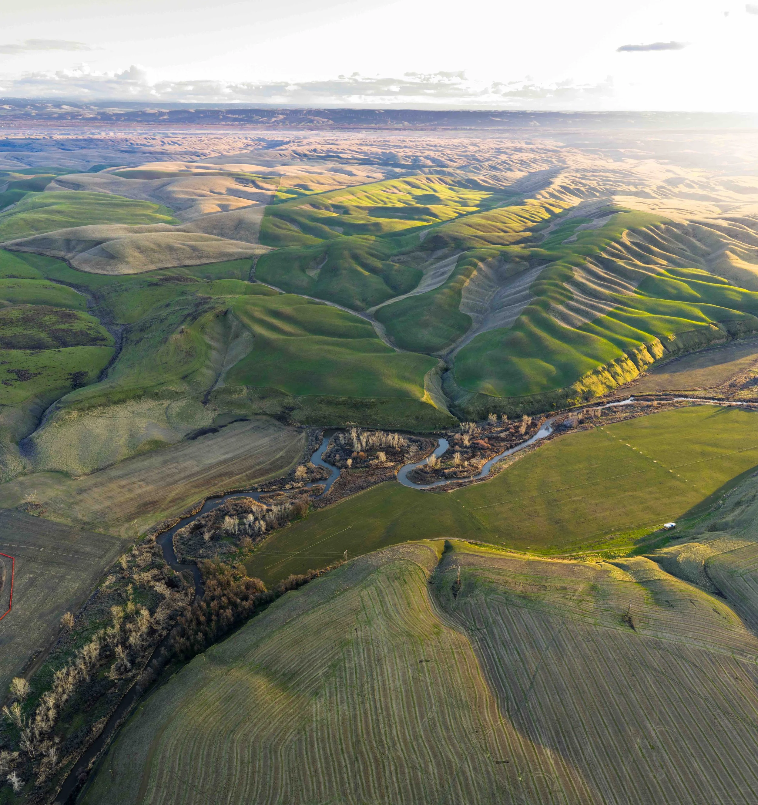 Blue Mountain Land Trust permanently protects 438 acres along the Touchet River through Túuši Wána Conservation &amp; Restoration Easement.