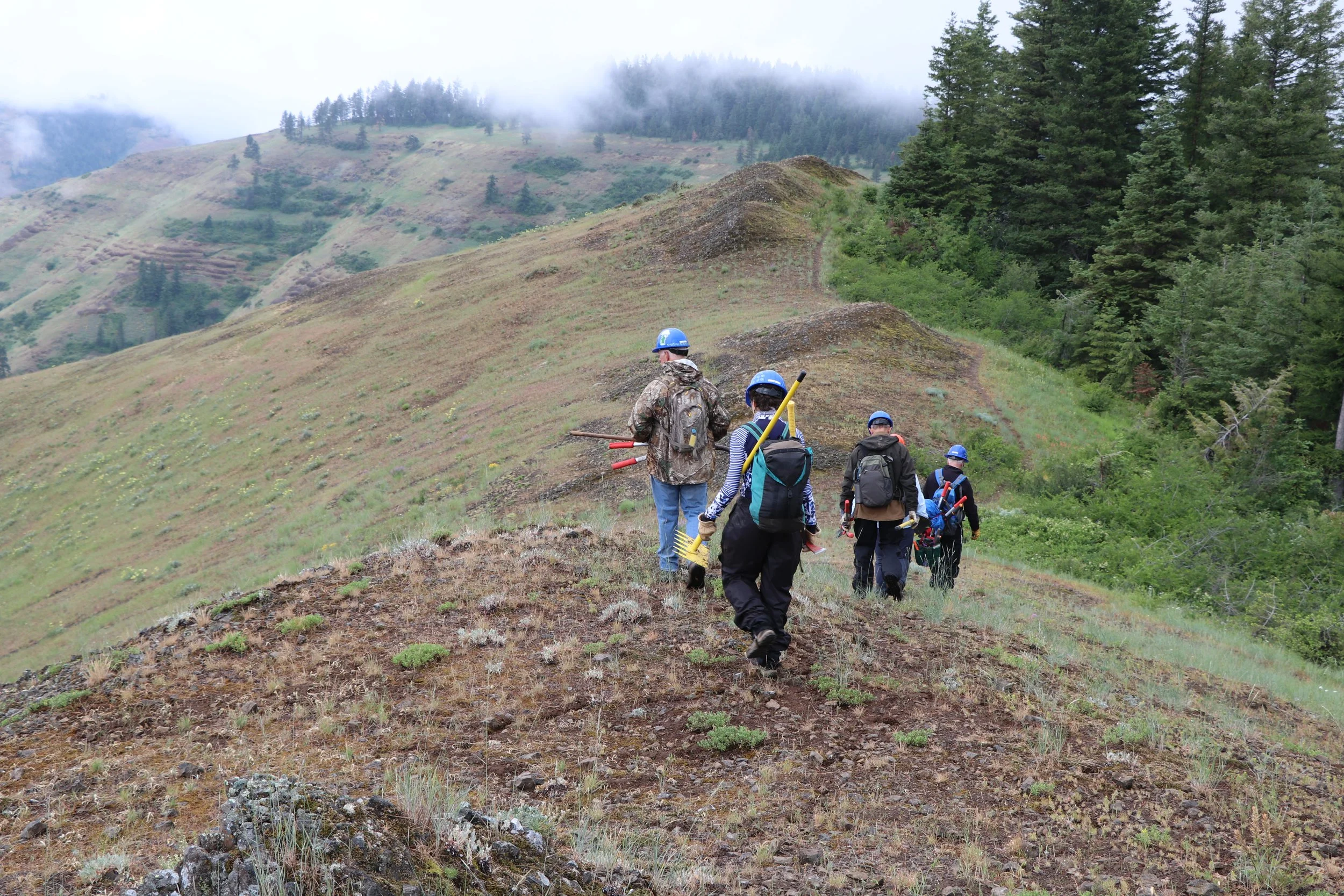 3-Day Trail Work Party at Camp Wooten