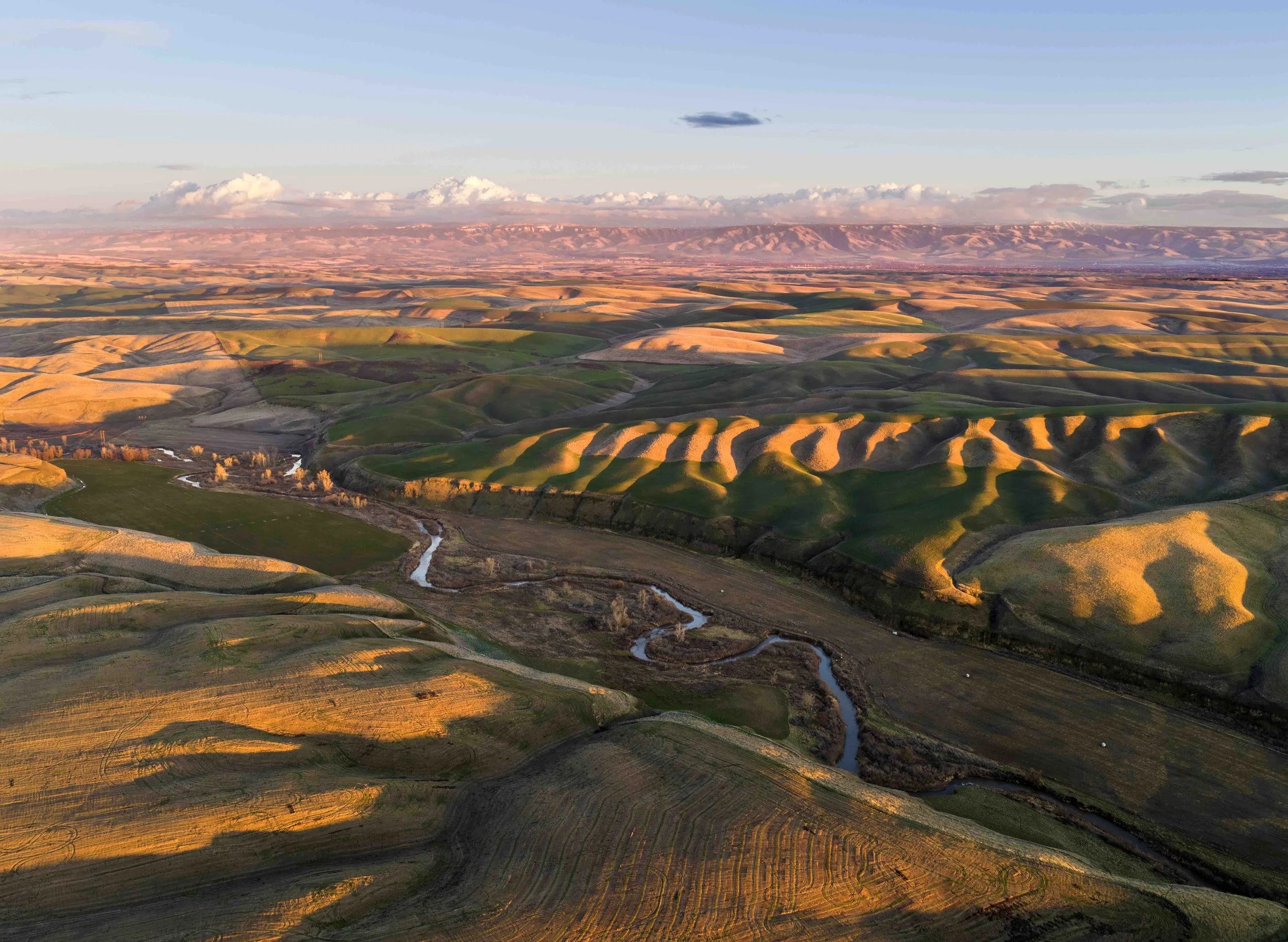 DJI_20260209190813_0759_D copy.jpeg