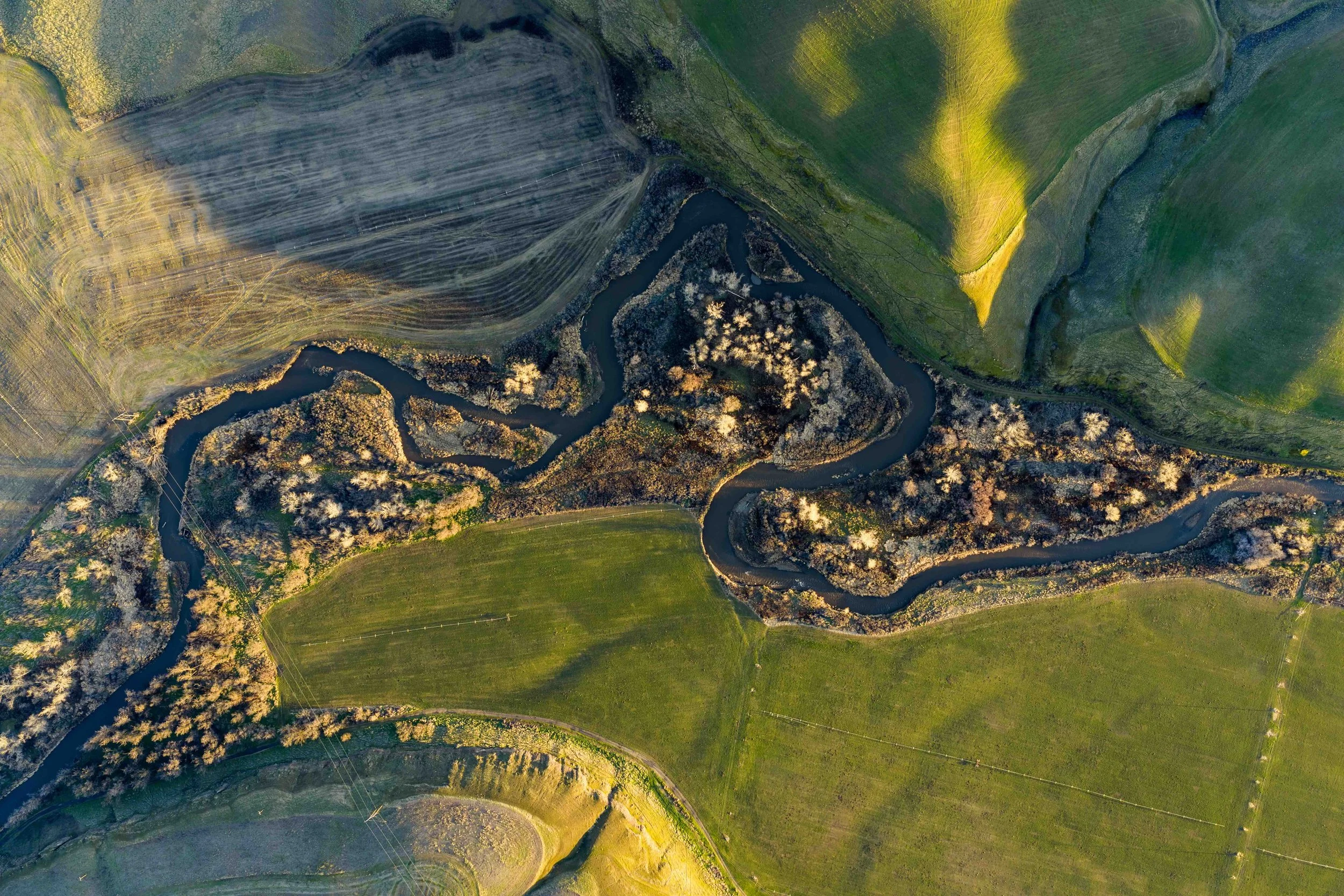 DJI_20260209184622_0663_D copy.jpeg