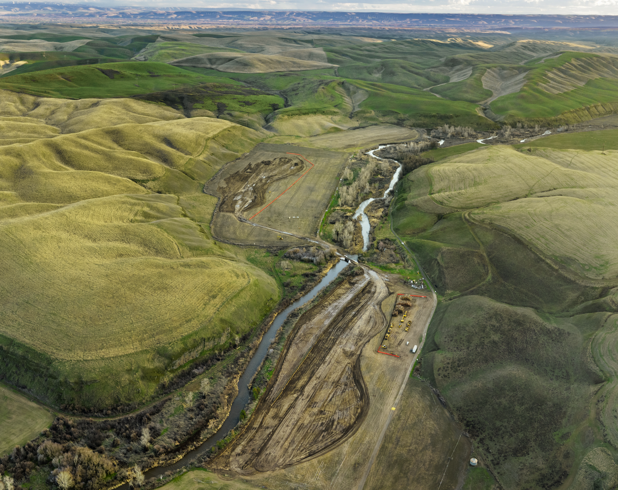 Screenshot 2026-03-05 at 1.56.08 PM.png