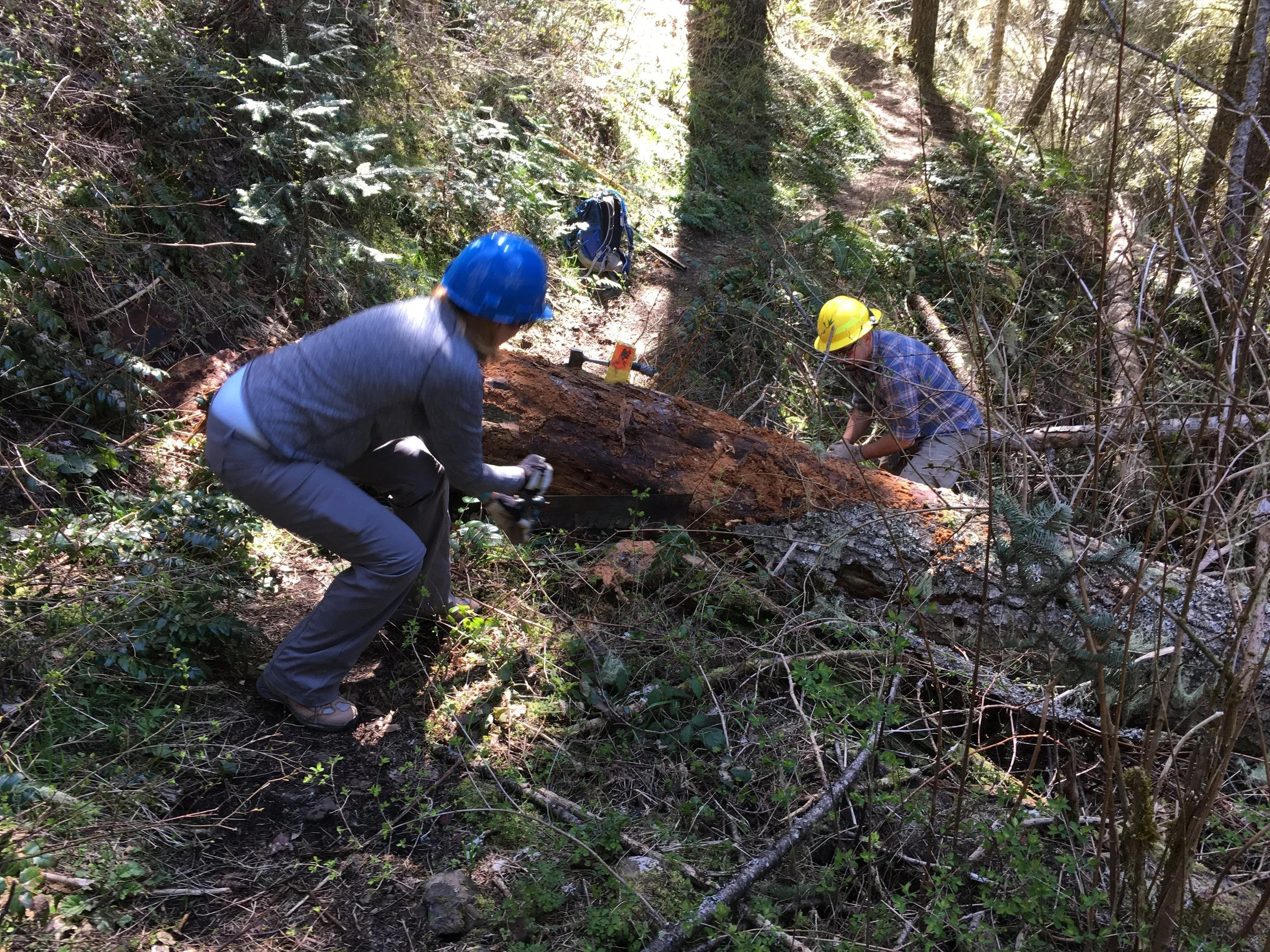 Trail Work Party: Lower Lick Creek Trail #3070
