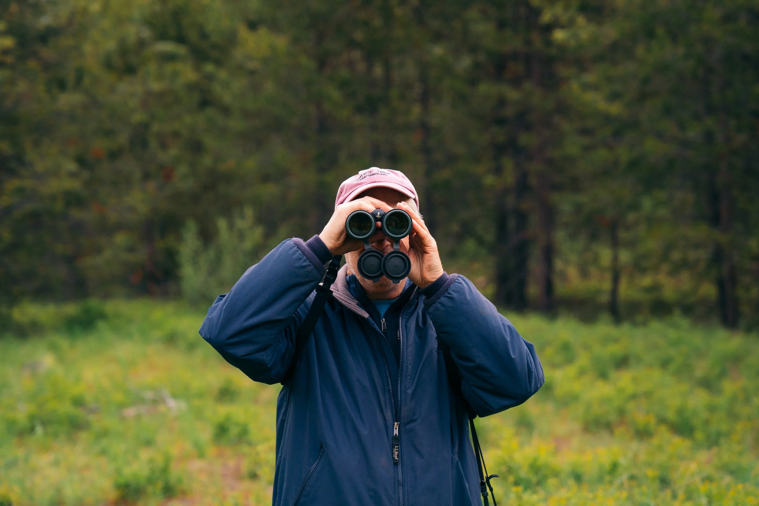 Phipps Meadow Bird Count &amp; Property Tour  