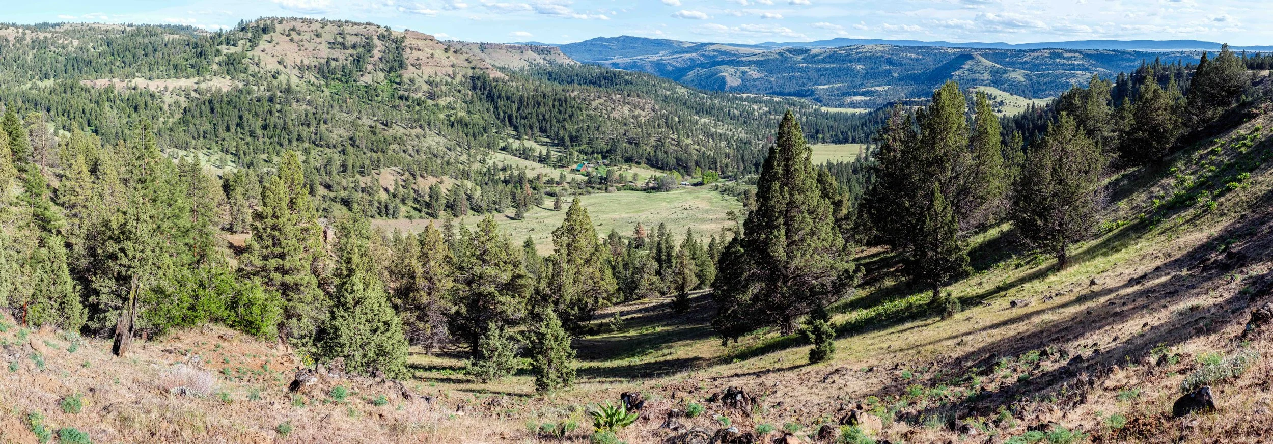  Blue Mountain Land Trust awarded funding from the Oregon Watershed Enhancement Board (OWEB) to protect Rush Creek Ranch