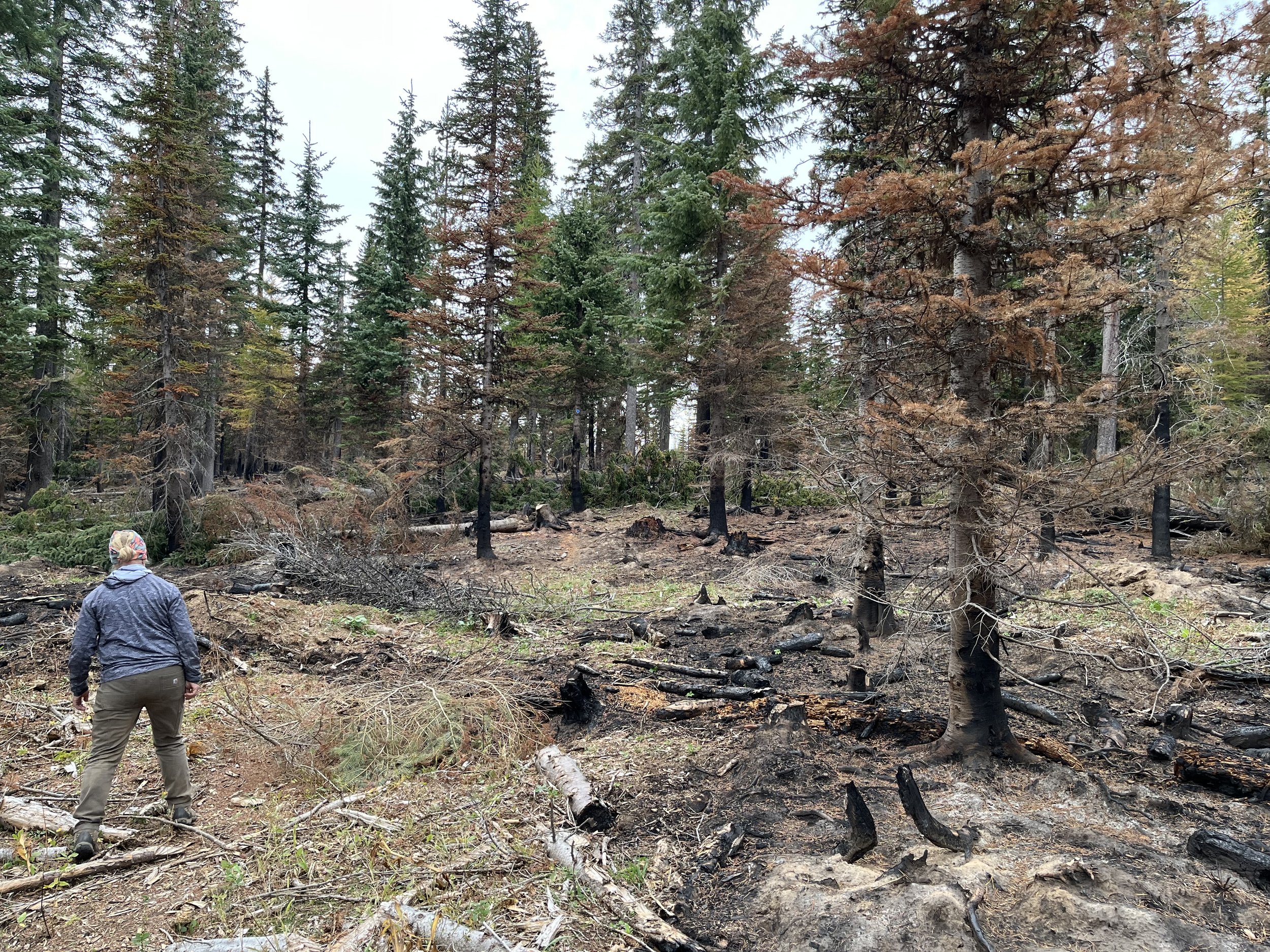 Horseshoe Prairie Trail Recovery Work Party