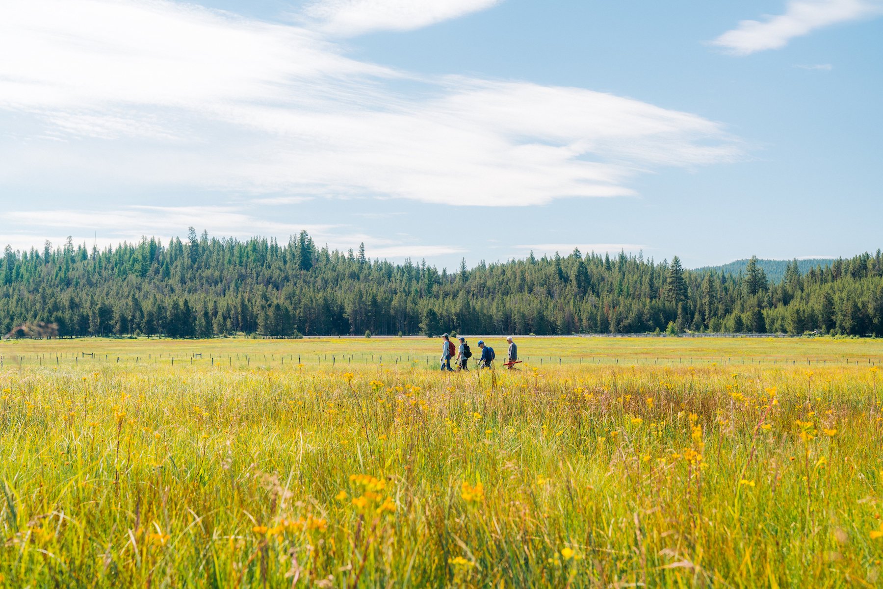 The environment that connects us together.