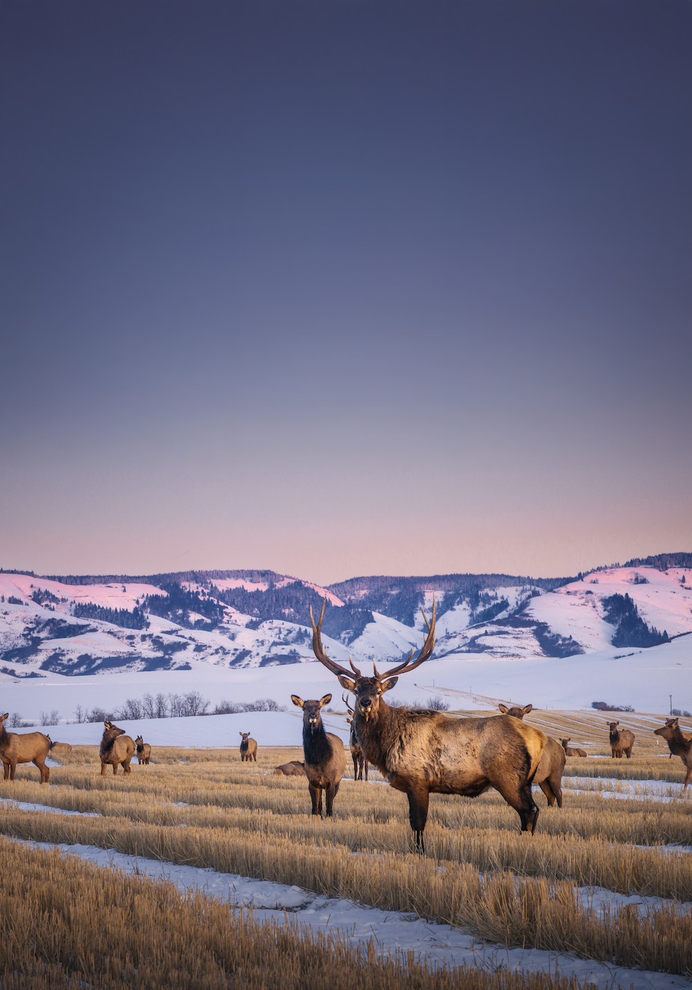 Expanded for blank space 2 copy.png