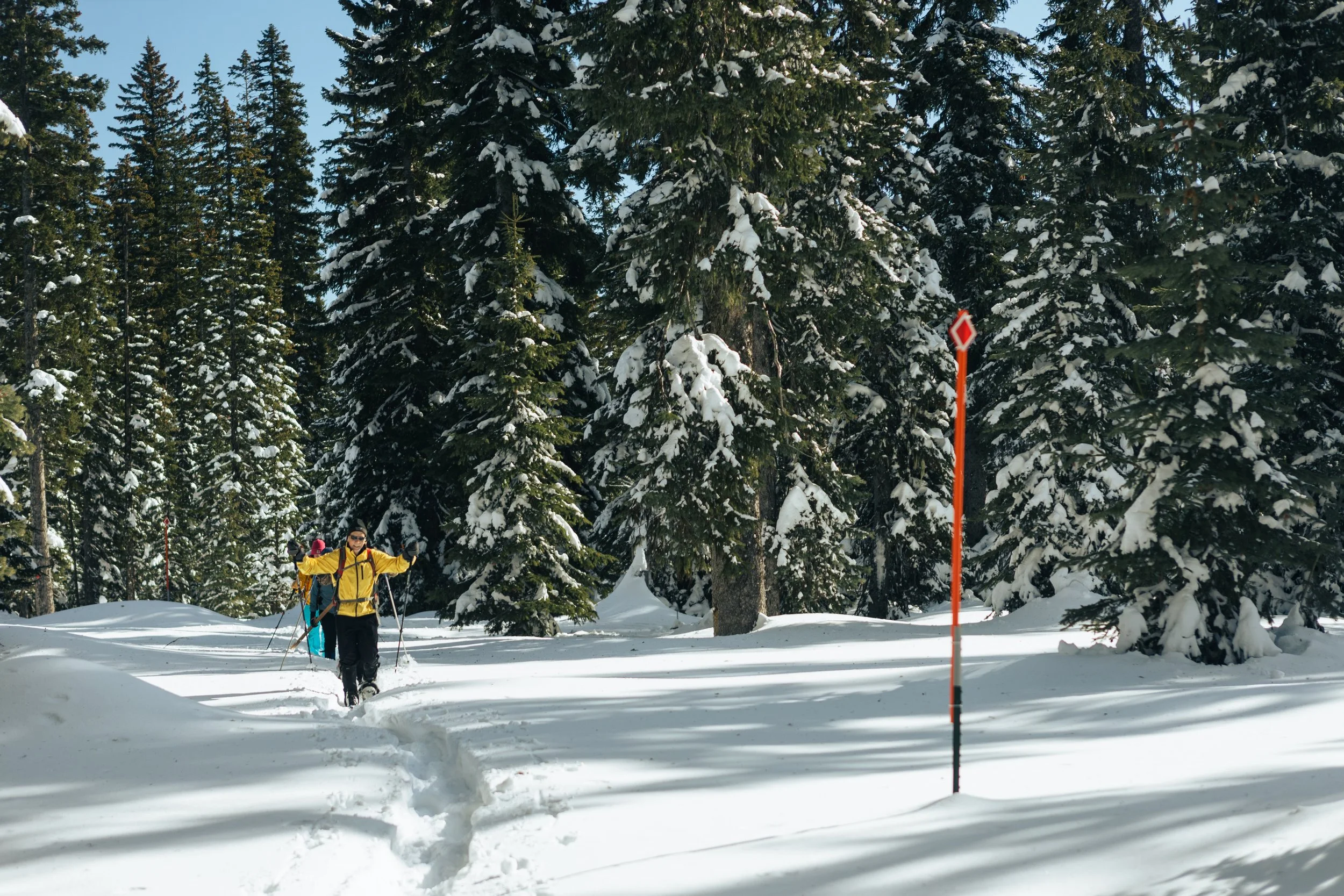 Horseshoe Prairie Nordic Ski Area — Blue Mountain Land Trust