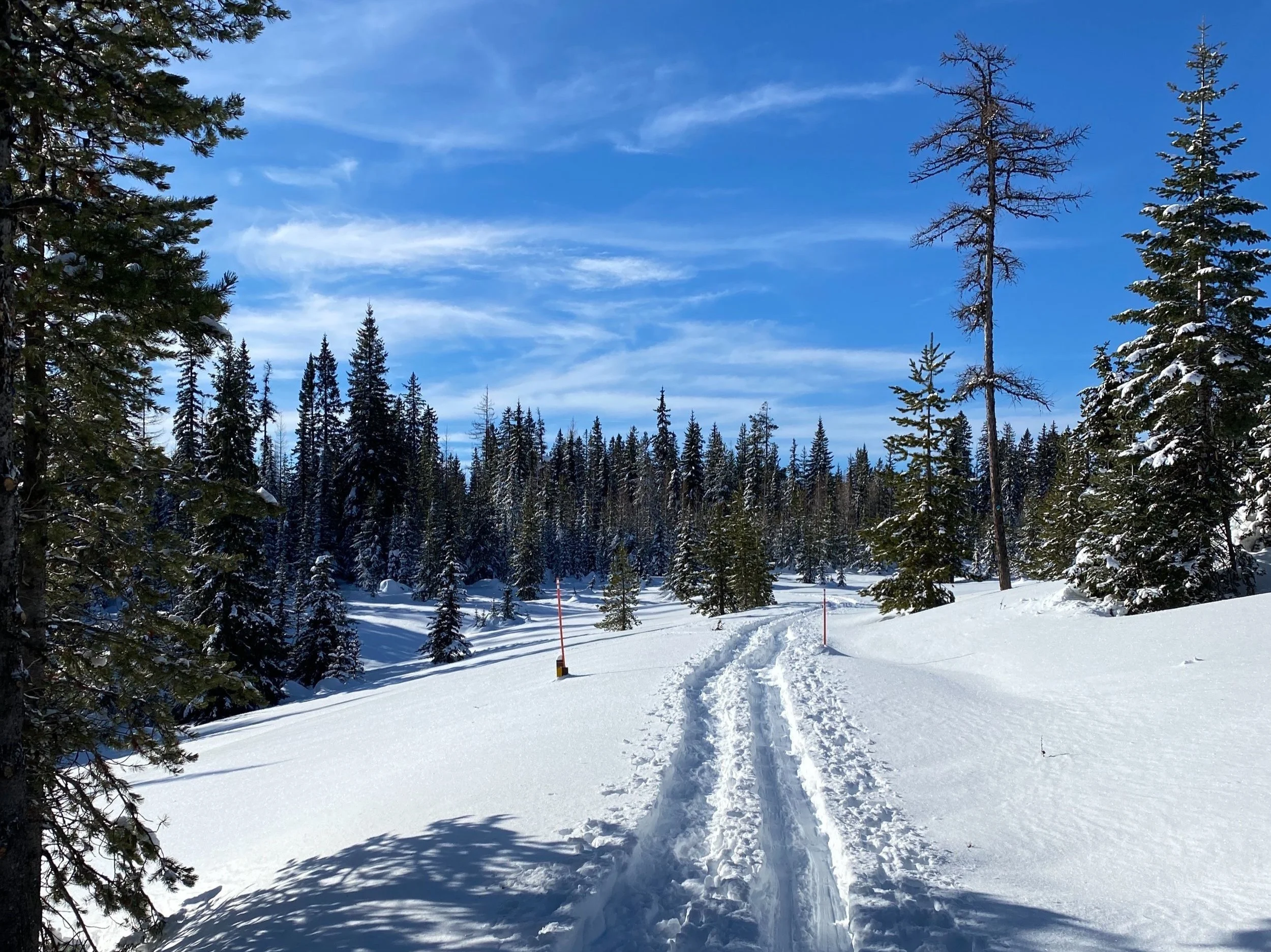 Horseshoe Prairie Nordic Ski Area Trails | October