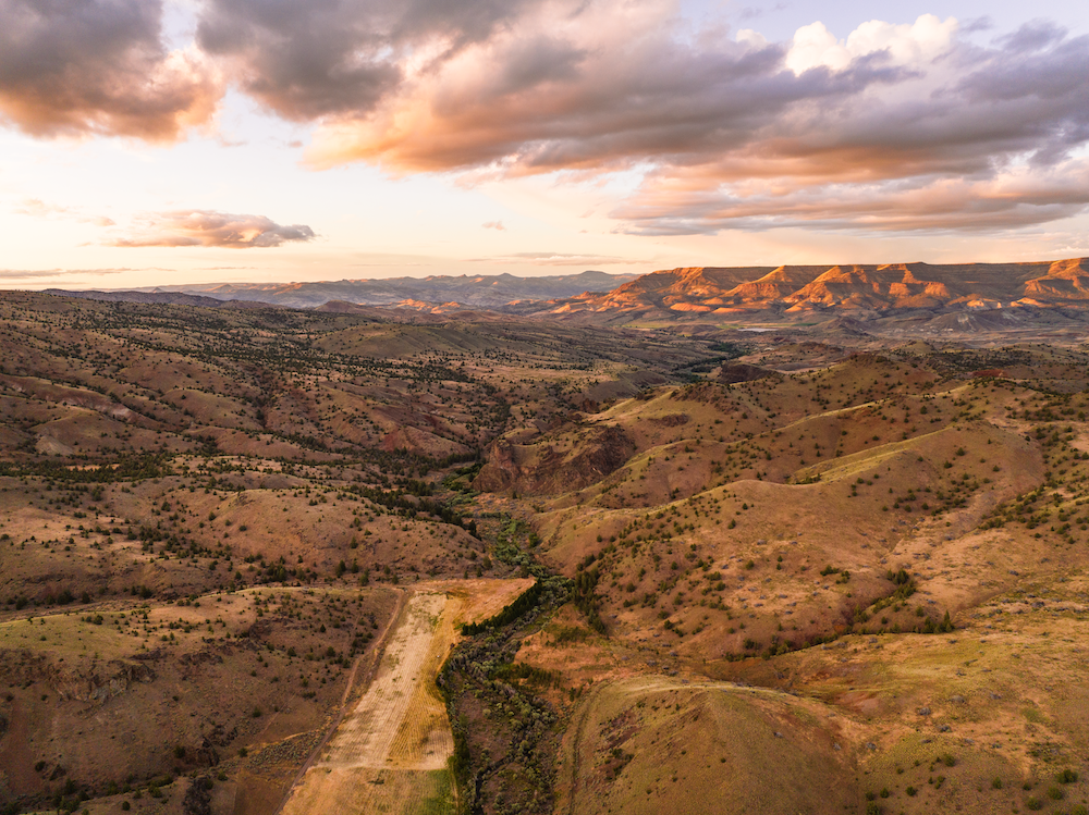 Revitalizing land for a resilient future.
