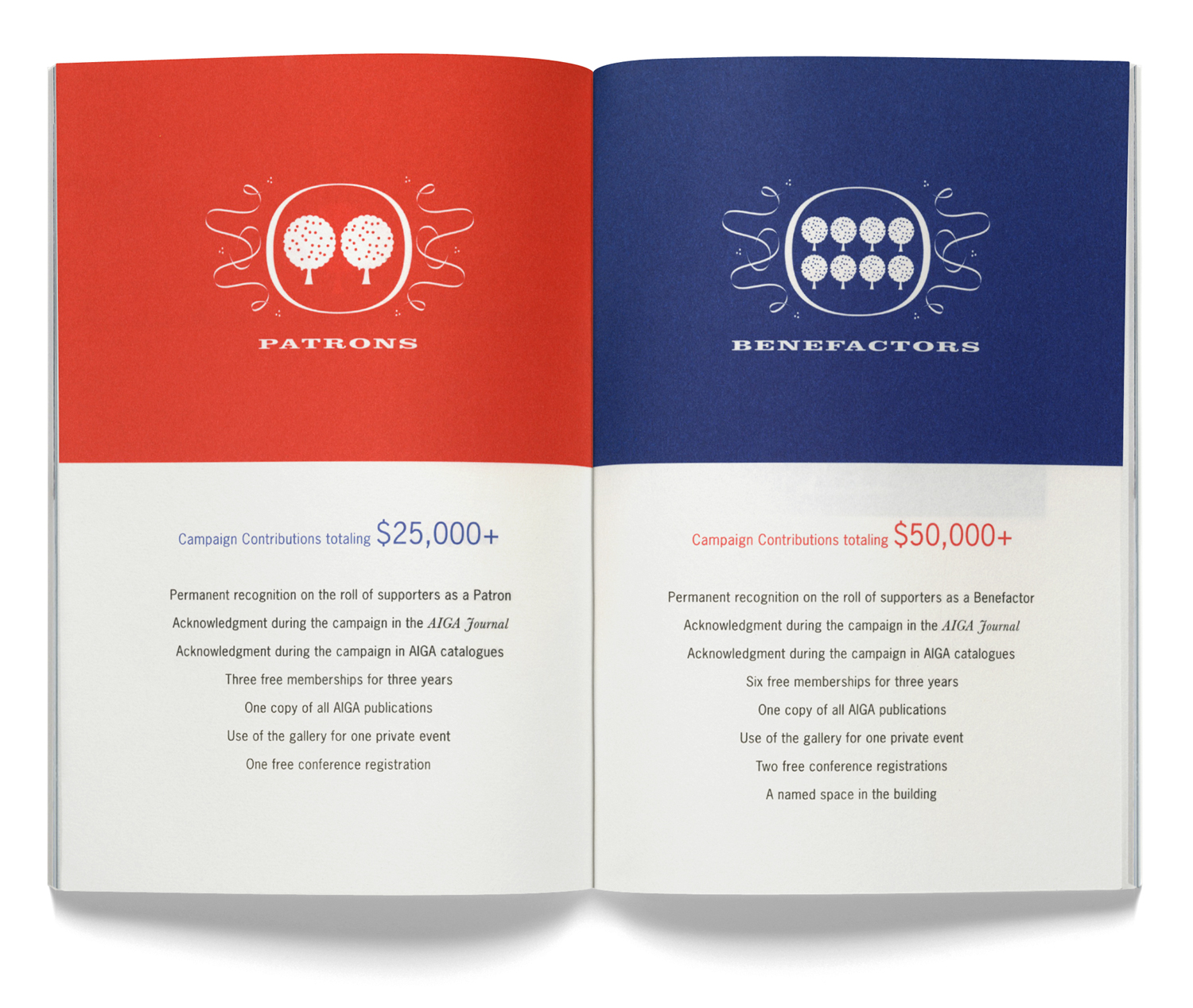 AIGA Capital Campaign Book