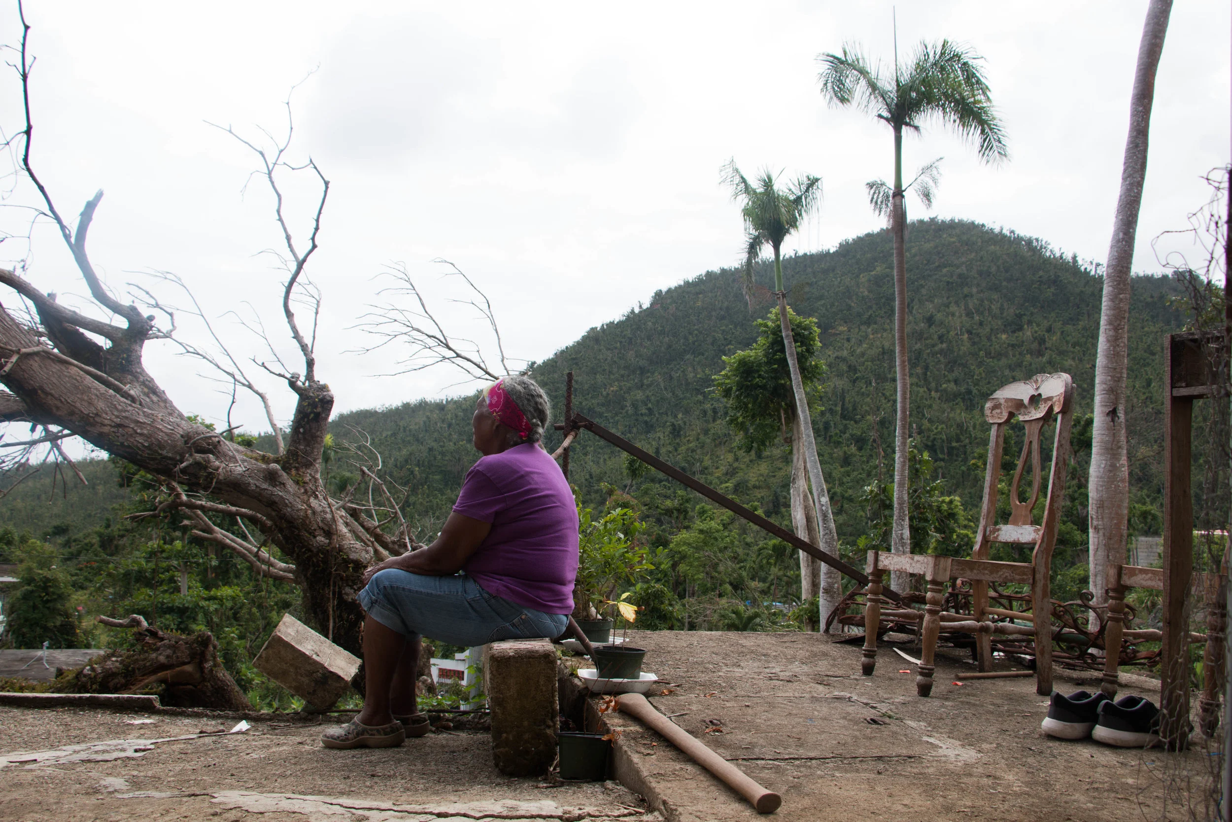 7 Months after Maria