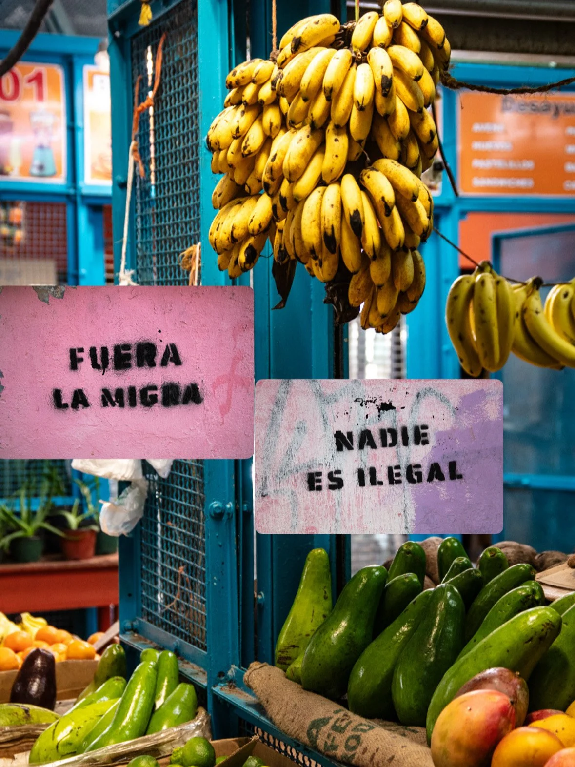 Nadie es ilegal