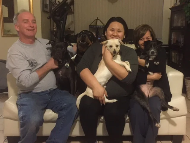 Alfie (center) with his new family of dogs and people.