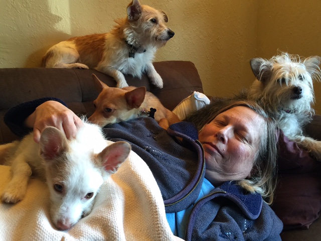 Vincent (a.k.a. Wendell) on top with his new siblings