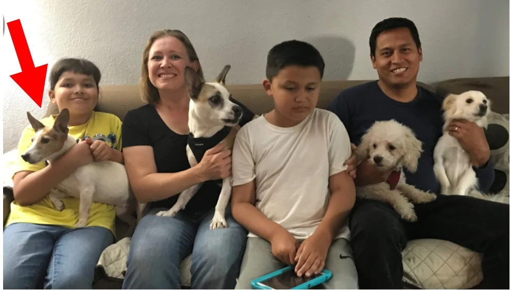 Molly (a.k.a. Jellybean), on the left with her new big family