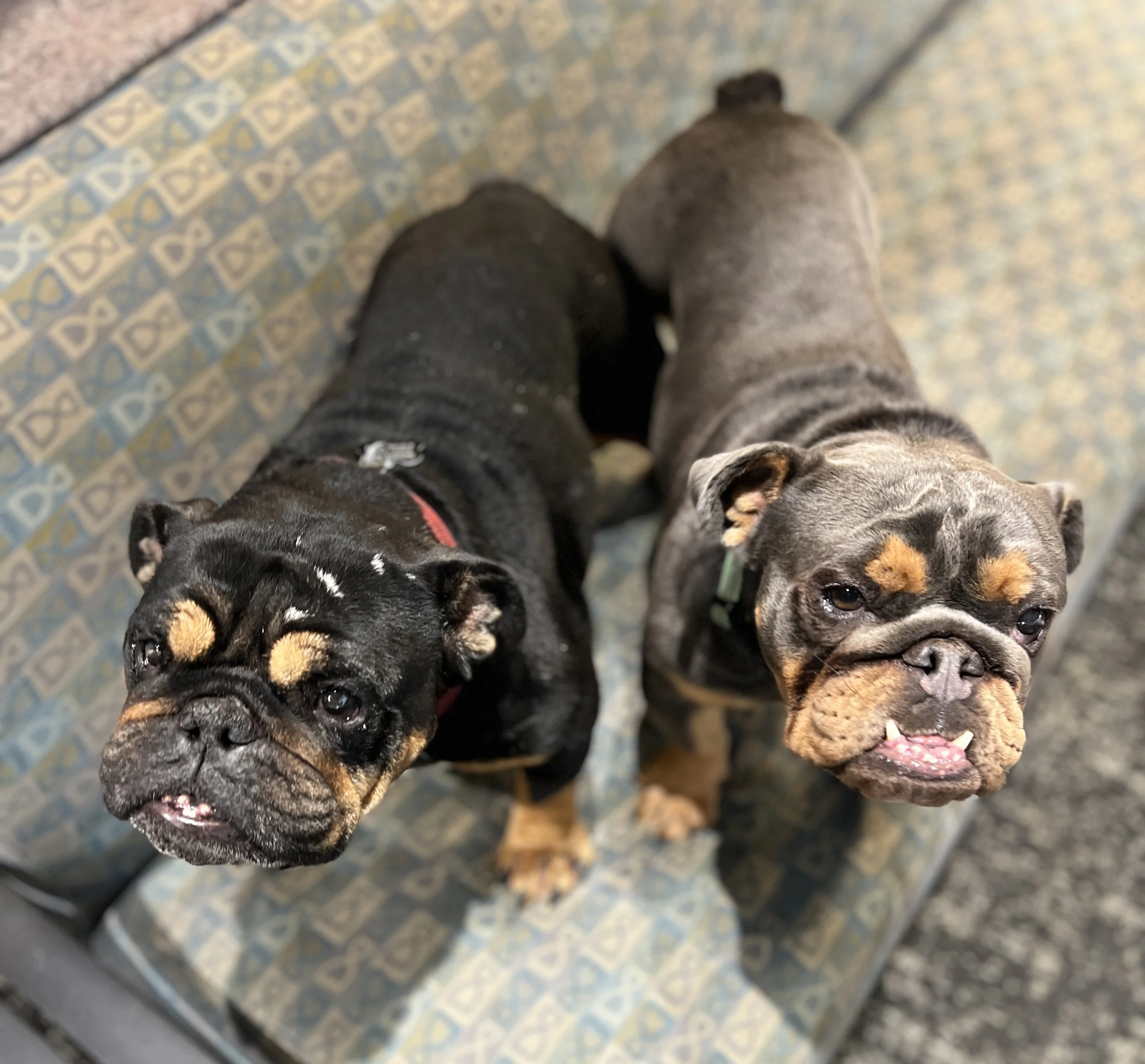 Photo Dec 07 2025, 3 03 59 PM.jpg